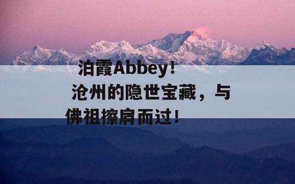   泊霞Abbey！ 沧州的隐世宝藏，与佛祖擦肩而过！