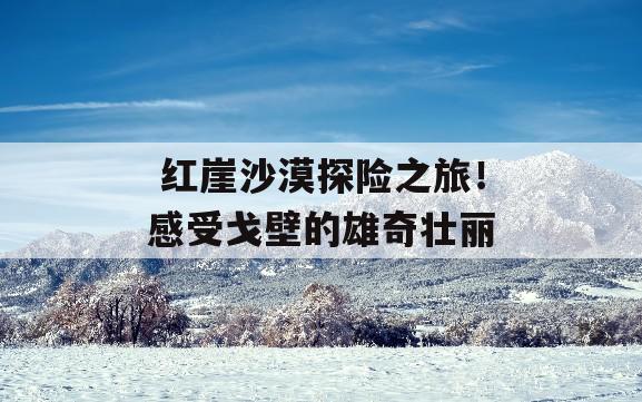  红崖沙漠探险之旅！感受戈壁的雄奇壮丽